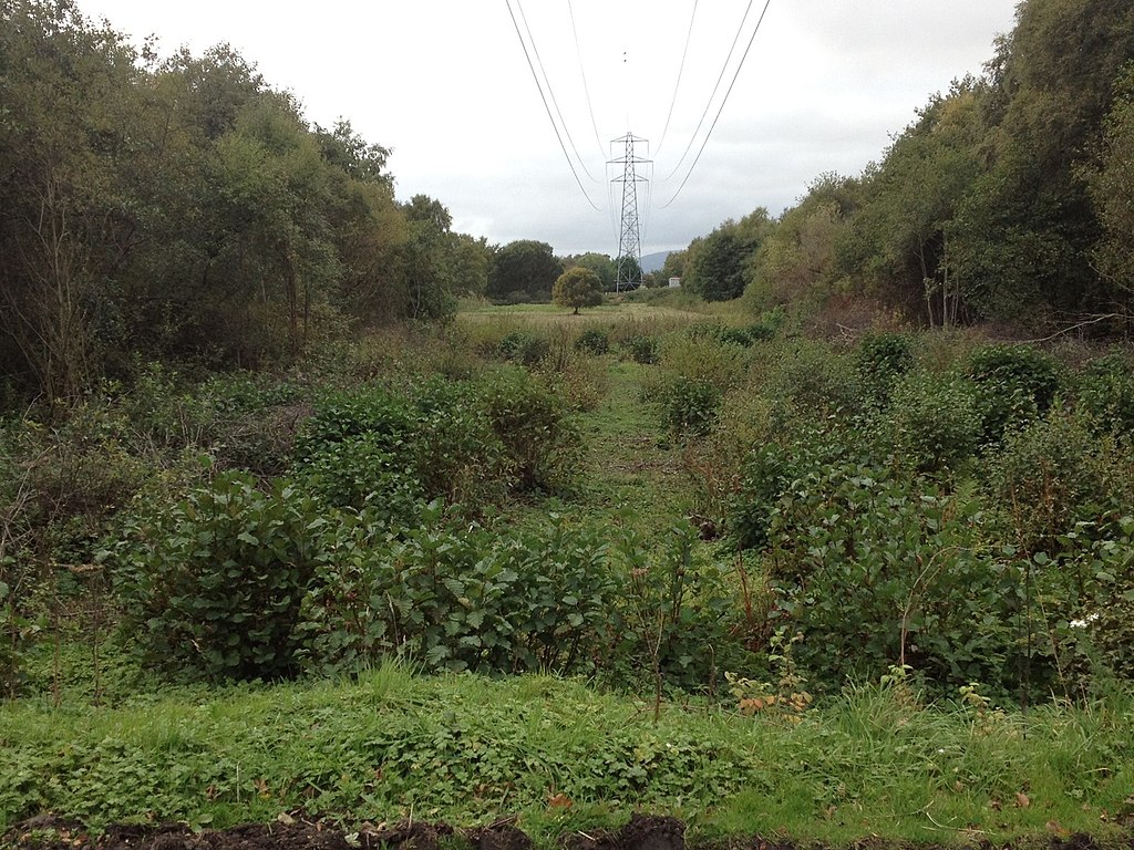 Transmission Lines